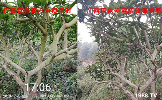 �V����ɫ�͑�δʹ�Õr(sh��)��ʹ�ú�Ч�����@��