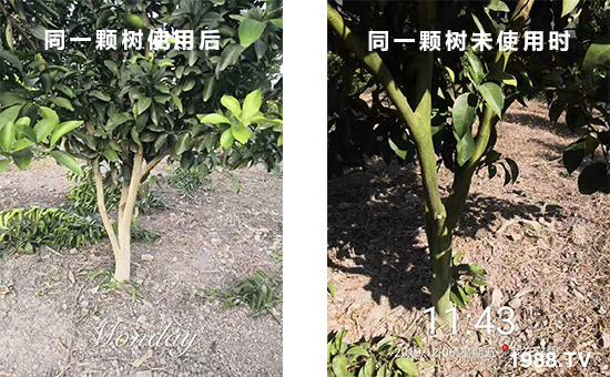 ͬһ�w��ʹ�ú��ͬһ�w��δʹ�Õr(sh��)��