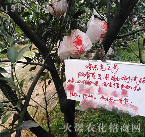 �Ĵ�����������(sh��)�(y��n)����