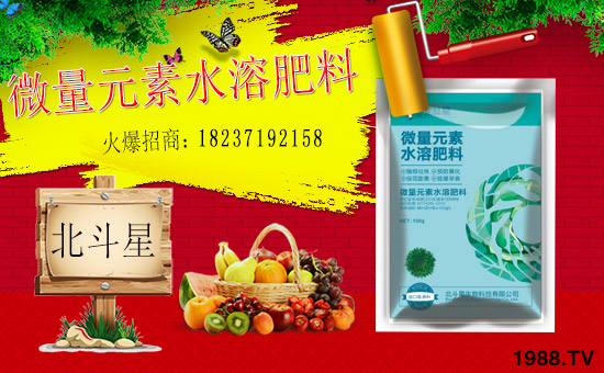 1988.TVϲӭ�»�飬���ϱ����ǔy��1988.TV���Aδ����