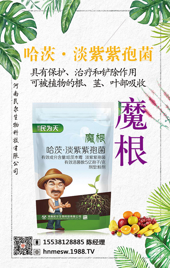 �����������������ٺ�1988.TV������(chu��ng)���x�ͣ�