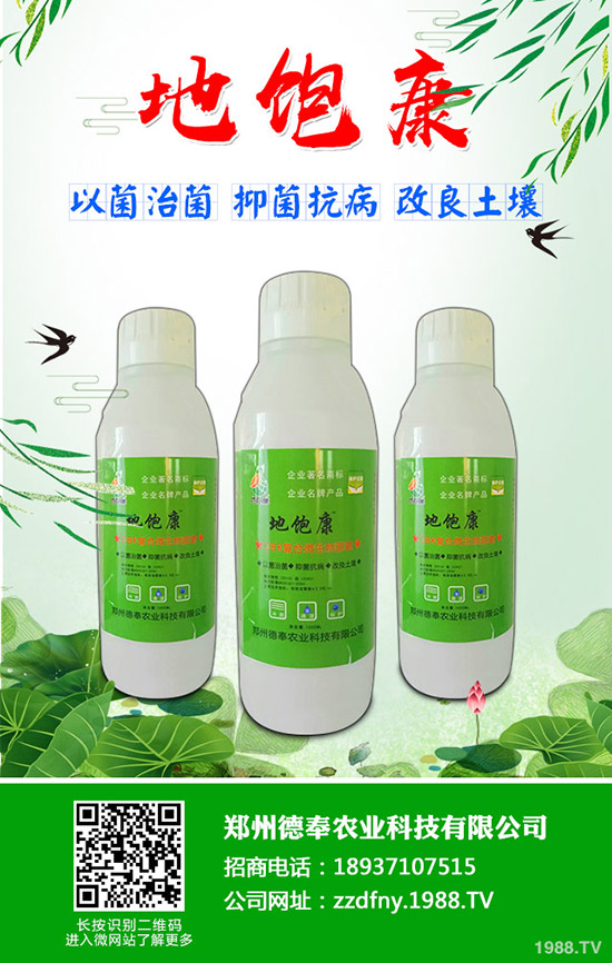 �ϹϺ��ǲ�����Щ�Y�����ϹϺ��ǲ����η���