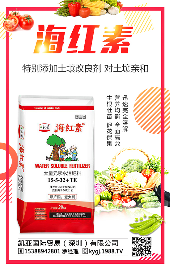 ���ӌ����L�h(hu��n)���к�Ҫ����������߰����R��ԭ�򼰴�ʩ��