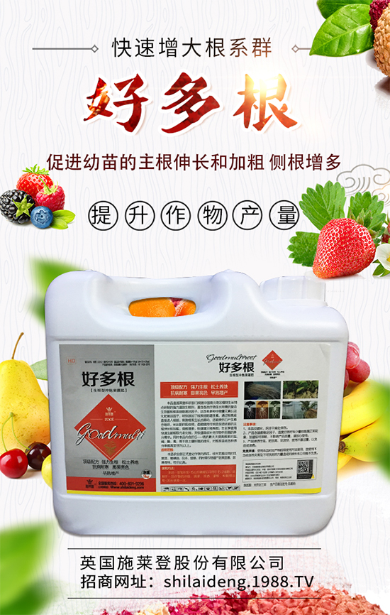 ����������ʲô�r(sh��)��Nֲ�������˷Nֲ���g(sh��)Ҫ�c(di��n)����Щ��	