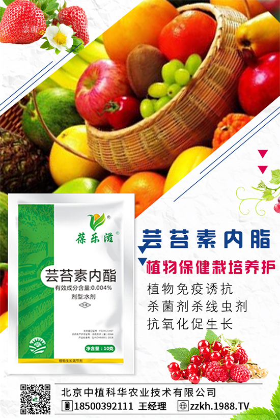 ���Ҫ��ô�Nֲ�����ˮ�ʹ���Ҫ�c��