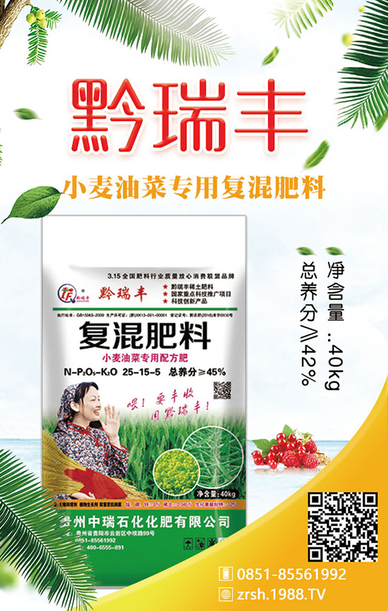 如何種植春季白菜?科學(xué)方法有哪些?