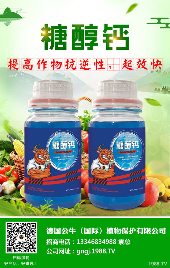 ����ʩ���v����������ʩ���Ľ���