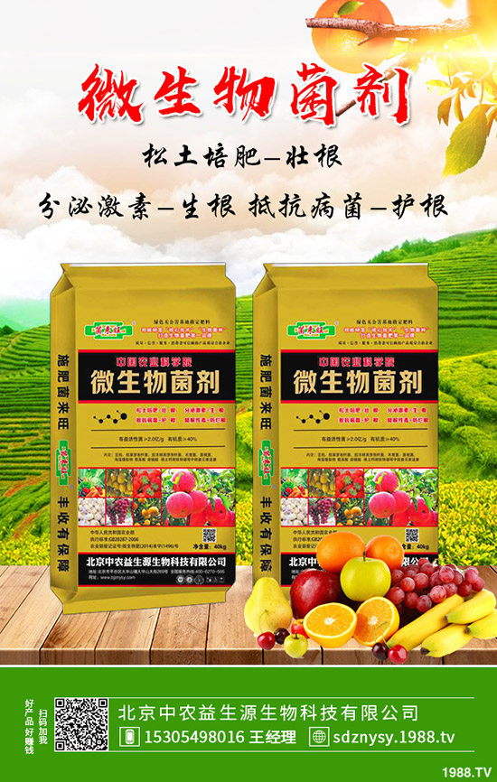     復(fù)合肥市場(chǎng)報(bào)價(jià)小幅下跌試探！最新復(fù)合肥價(jià)格行情分析2020-4-15！