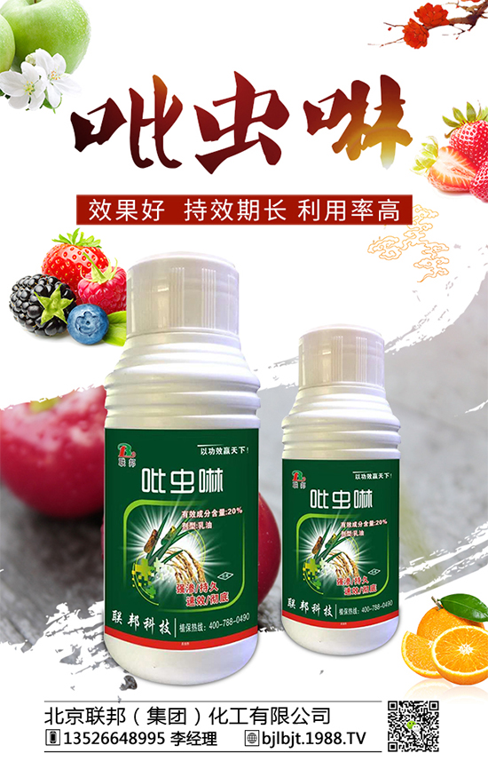 蘋果棉蚜蟲有什么危害?蘋果棉蚜生活習性及防治!