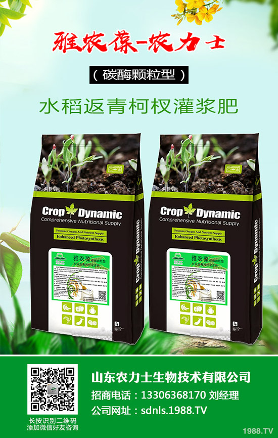     國內(nèi)尿素價格小幅探漲！最新尿素行情走勢綜合預(yù)測2020-4-16