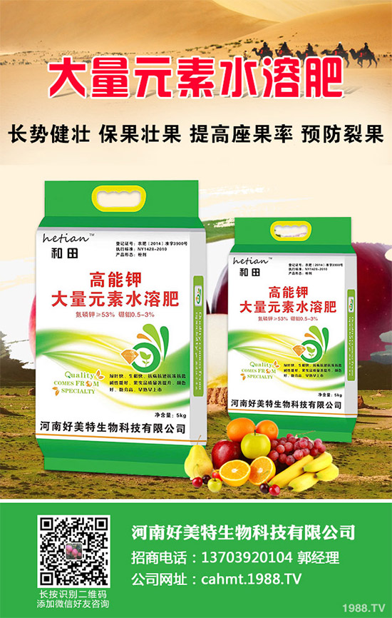 ��(x��)���[��ηNֲ���ܸ߮a(ch��n)����Ҫע��ʲô���@�傀(g��)С���ɷ���һ�£�