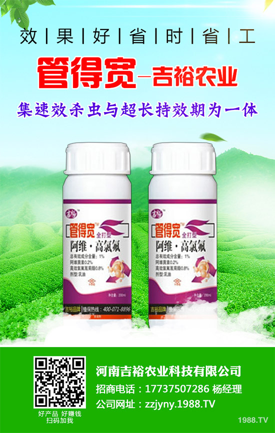 �����������x�������������������g(sh��)����