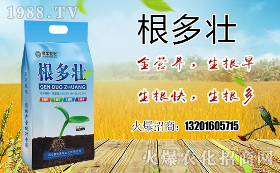  ϲ����1988.TVϲӭ��������(li��n)�A��ţ���݁��u��