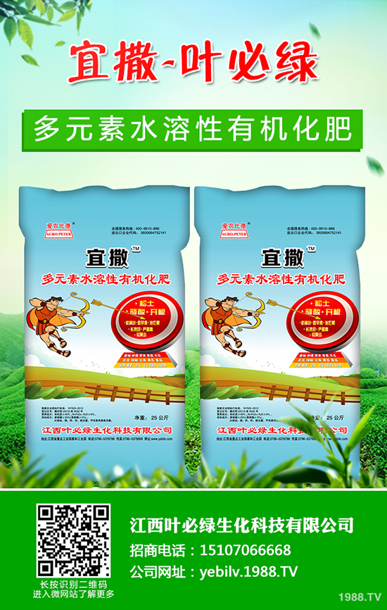 葫蘆種子怎么種 葫蘆種子催芽方法有哪些?