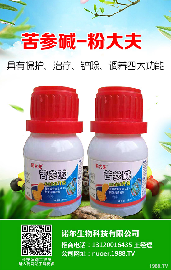 �{�����ӵă�(y��u)�������x���δ��ֲ���Ј��д�������