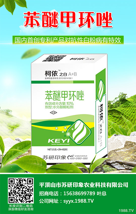     ��ذl(f��)�F(xi��n)���Ծ�������(y��ng)���赾��������뿾����Ŀ�ˎ�Ԇ��}