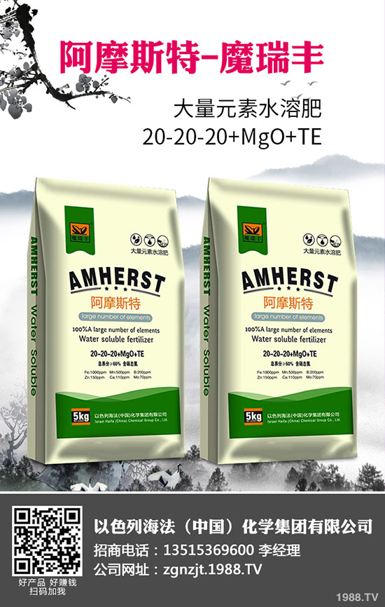 2020�괺����ʲô�r�g���N�������׷Nֲ���g(sh��)