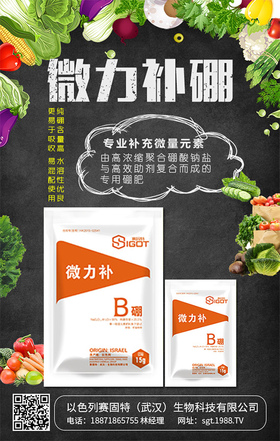 ��ɫ��ِ�����ٴΠ���1988.TV���_(k��i)�������¾�����