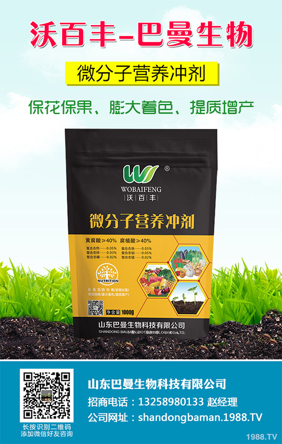 ���������N�ĳ�Ҋ�`�^(q��)�������r�����^�e������Q������