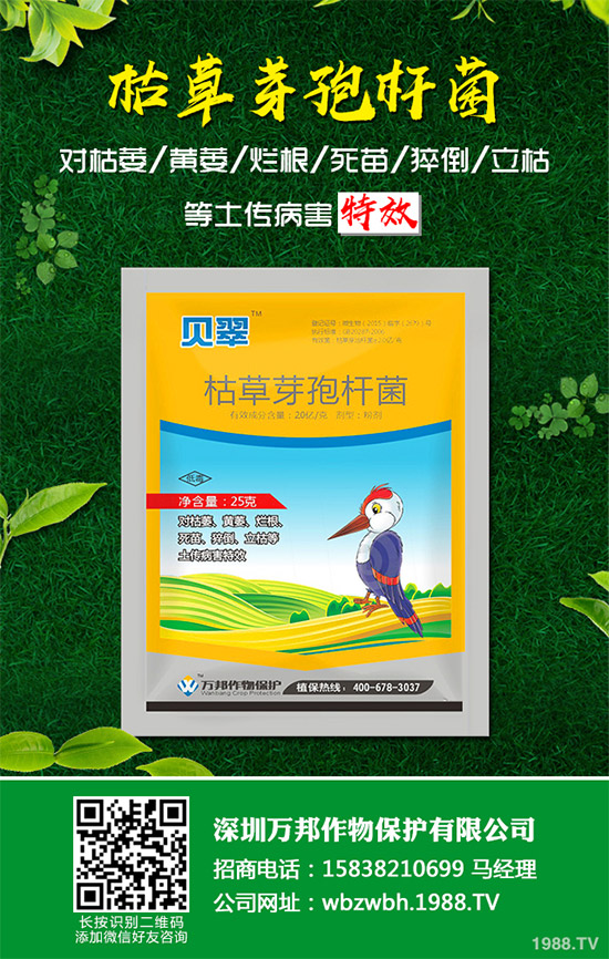 С����ù��ˎ������Ч����������׃����