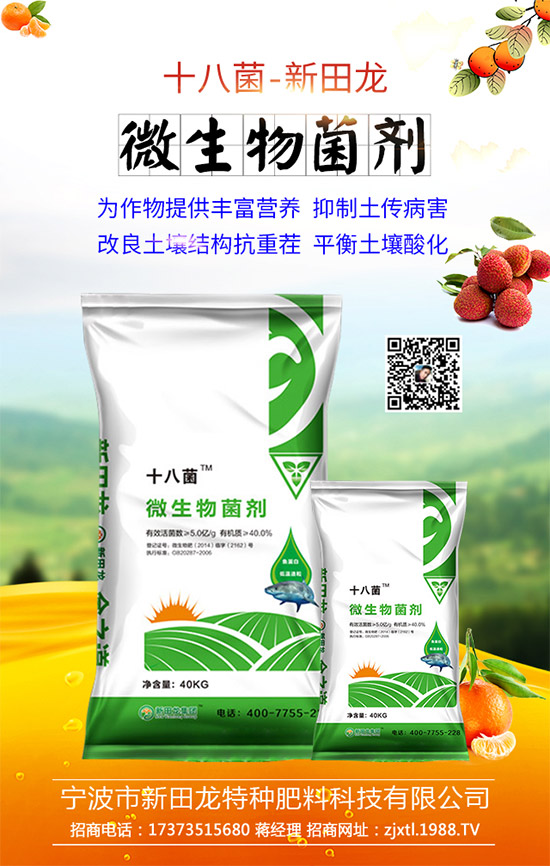 �����P(gu��n)ϵ�����A���������m(x��)�s1988.TV�����\�����°l(f��)չ��