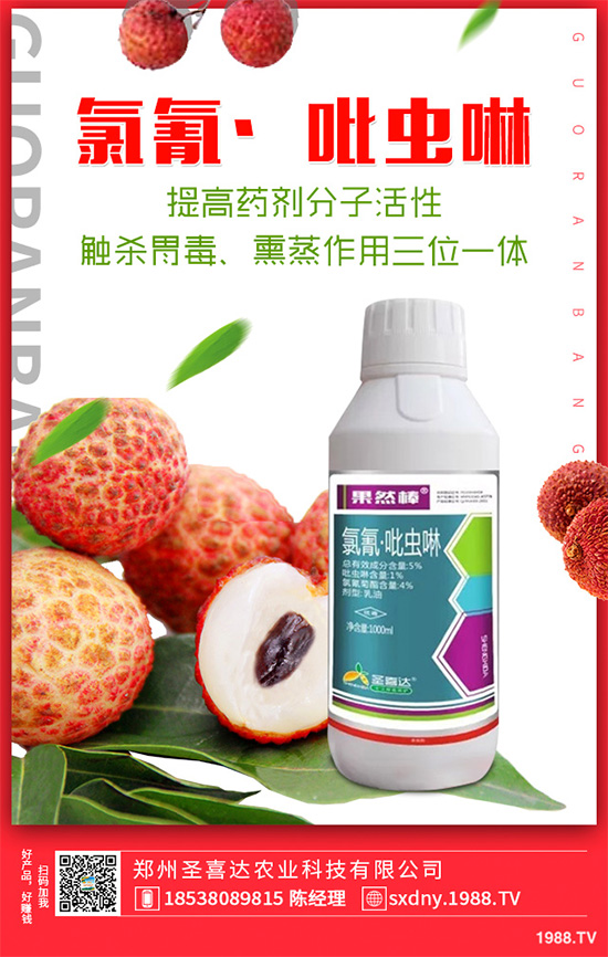 ��������ӛ���������x(ch��ng)�y��߀�������������T��Ҫ���(qu��n)��������