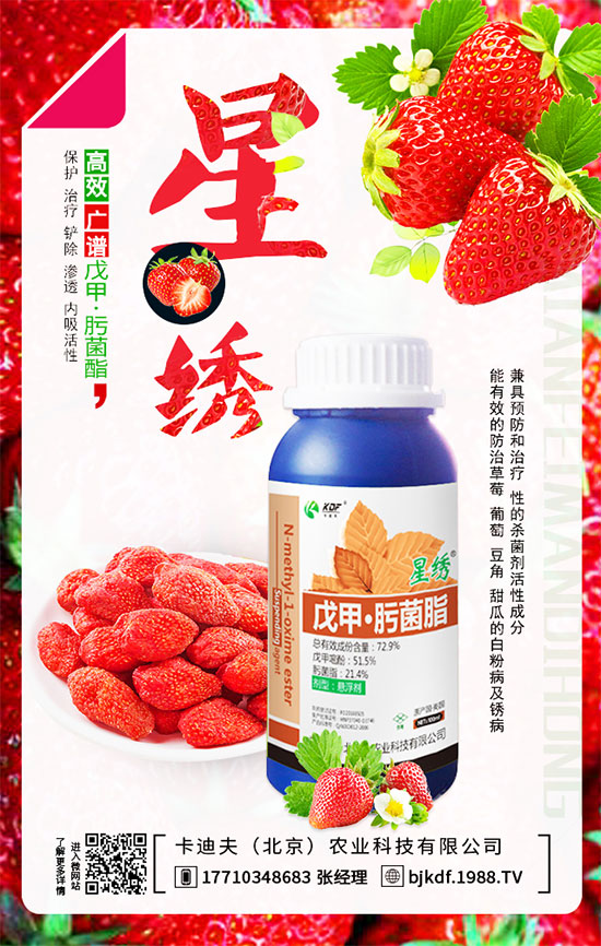 ����Ҫ��Ҫ���������������_��֦�������