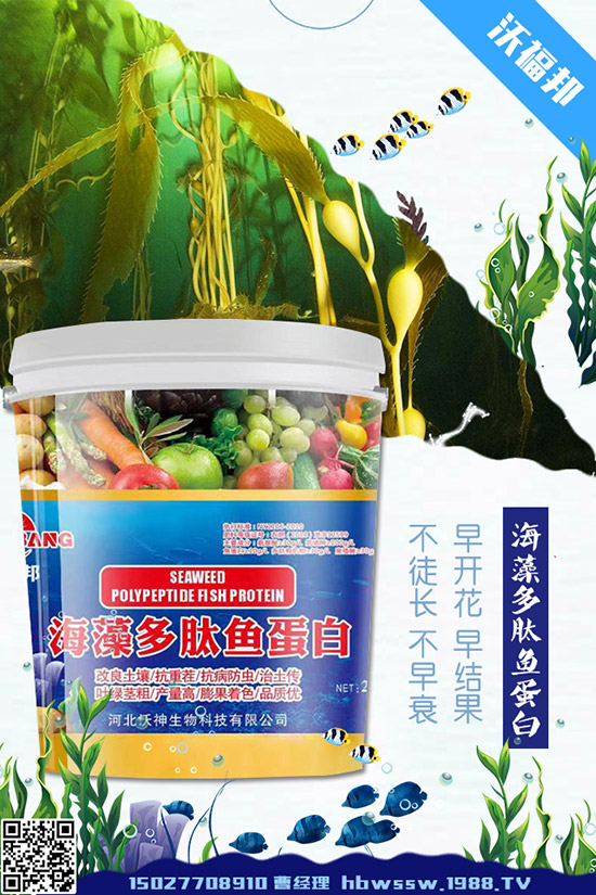     ���ӷNֲ��Ҫע����Щ���}�����ӵ�ˮ�ʹ���Ҫ�c(di��n)��