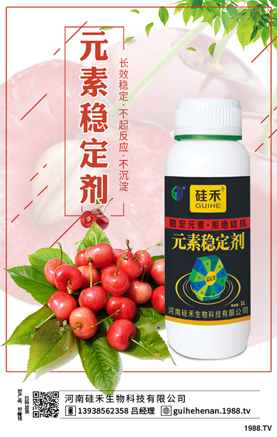 ��ˎԓ��ô�Nֲ����ˎ�Nֲ�İ˴��E�����������