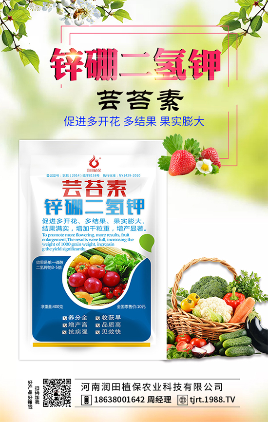 莧菜什么時間栽種?莧菜種植技術(shù)要點(diǎn)!