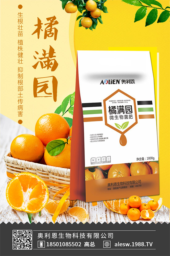 怎么區(qū)別大茴香和小茴香？茴香種植注意事項！