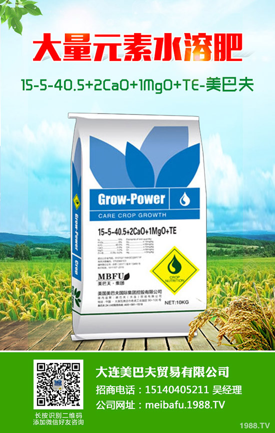     小麥白穗是什么病？有哪些原因造成的？防治時間及用什么藥治？