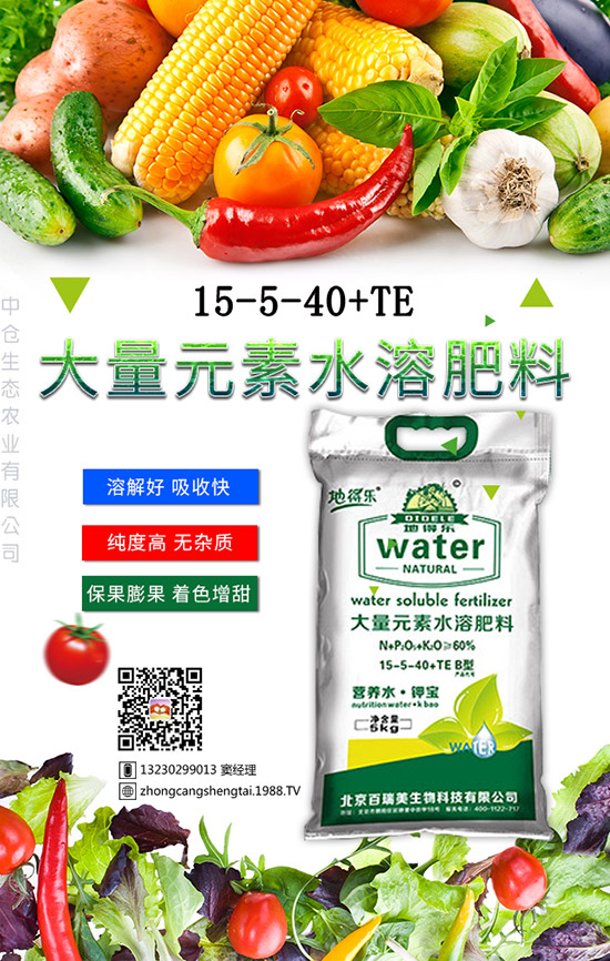 仙人球這樣養(yǎng)才不會死！金琥繁殖及栽培養(yǎng)殖管理！