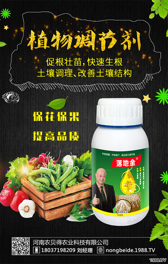 С��������Щʳ�Ãr(ji��)ֵ��С���۵��ΑB(t��i)������