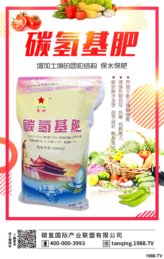 茶花盆景如何施肥，茶花盆景的施肥技巧有哪些