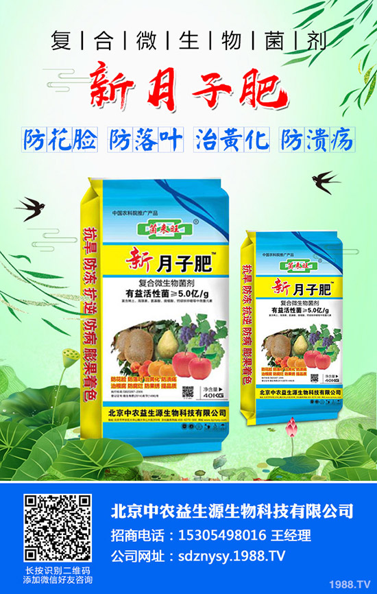     С�����~��ʲô��С�����~����������Щ��С�����~�Q���a(ch��n)��ô��