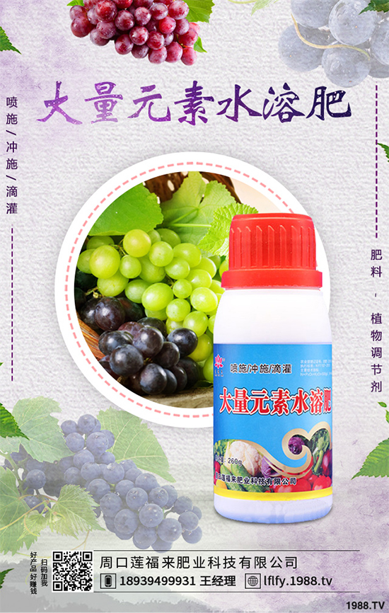 ���v�̶����Xһ�����Nֲǰ���������ˎ�ĵ�Ч�����