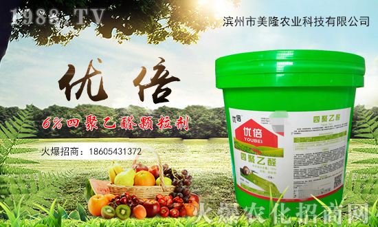 ��¡�r(n��ng)�I(y��)�m(x��)�s1988.TV���y�ֹ���(chu��ng)���x�ͣ�