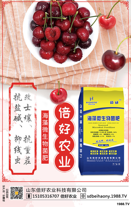     2020-4-30復(fù)合肥行情暫穩(wěn)！今日最新復(fù)合肥主流企業(yè)出廠報價一覽！