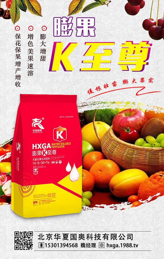 ��ޱ�辰��ηNֲ����ޱ�辰�ķNֲ������ע�������