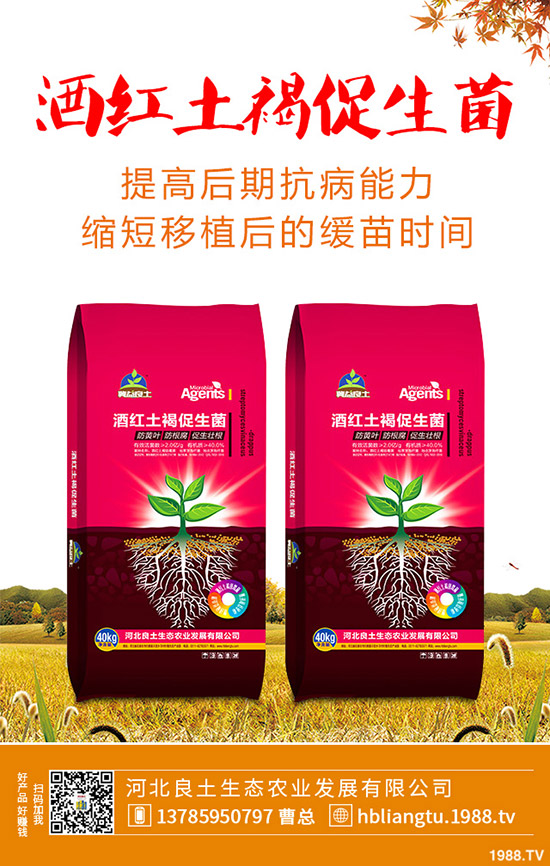 �{��ʲô�r��Nֲ�^�����{�˵ķNֲ���g(sh��)�c���g����