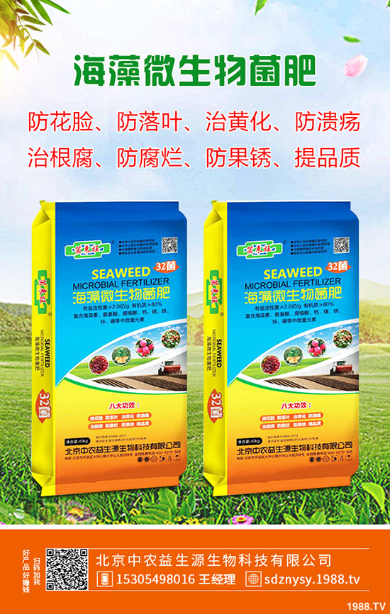 玉木耳栽培注意事項有哪些?玉木耳菌種選購注意有哪些?