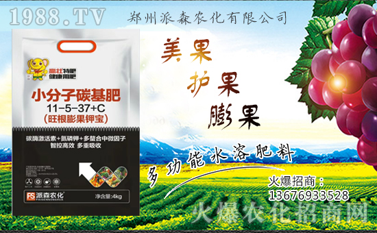 ������ɭ�r(n��ng)���ٺ�1988.TV����(zh��n)�Ժ����P(gu��n)ϵ�������_�A��