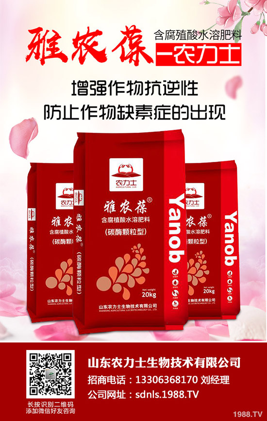     尿素價格跌跌不休！何時是個頭？2020-5-14今天各地最新報價是多少？