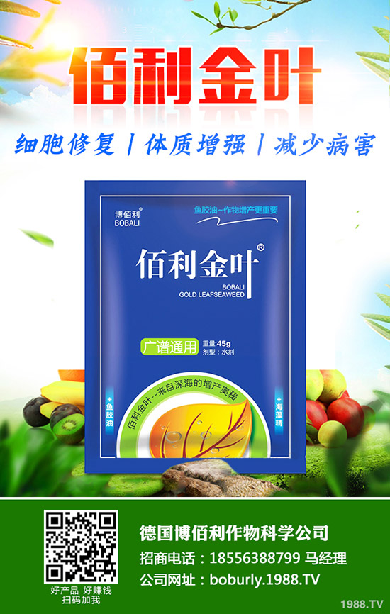     蘿卜撇葉中應該注意什么？蘿卜撇葉的方法及注意事項！