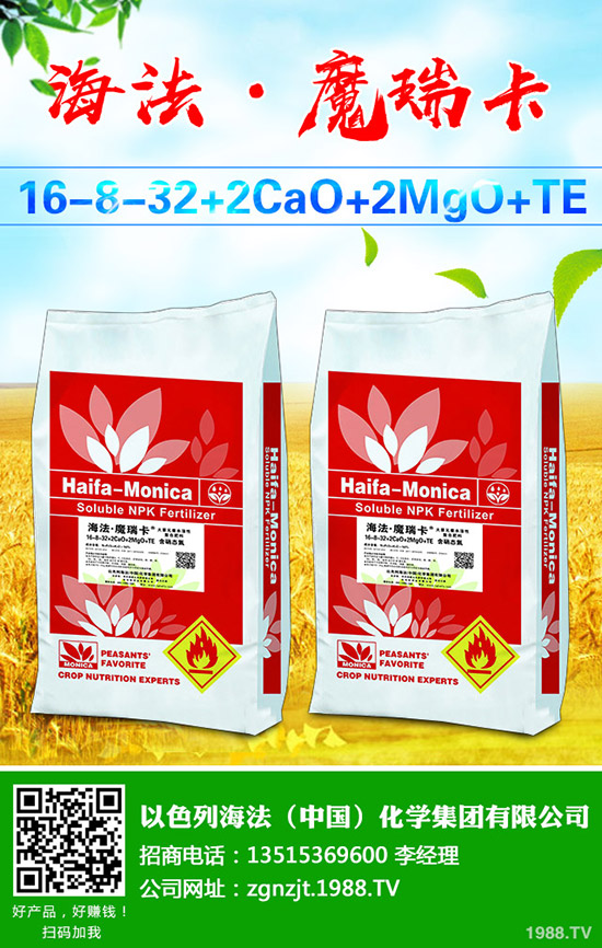     葡萄樹勢旺長發(fā)生原因有哪些？該怎么辦？葡萄的夏季控旺技術(shù)！