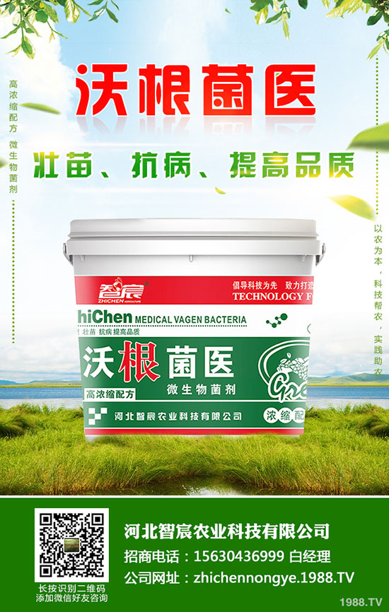 ⛷ʃr�����wƫ���\�У�����⛷��������2020-5-15��