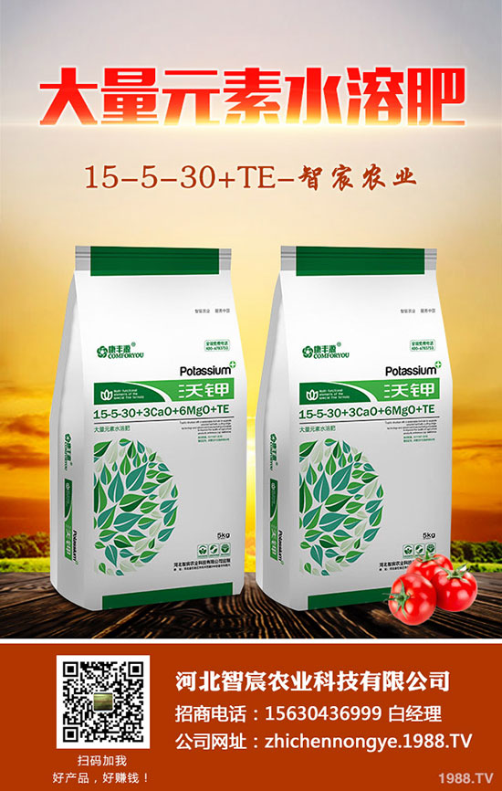 ����F��ô�B(y��ng)������F���B(y��ng)ֳ������ע�����(xi��ng)