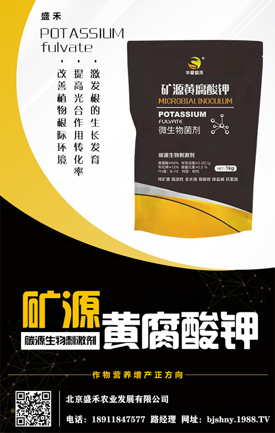     ����⛷�(w��n)���\����2020.05.16⛷ʃr�������߄ݷ�����