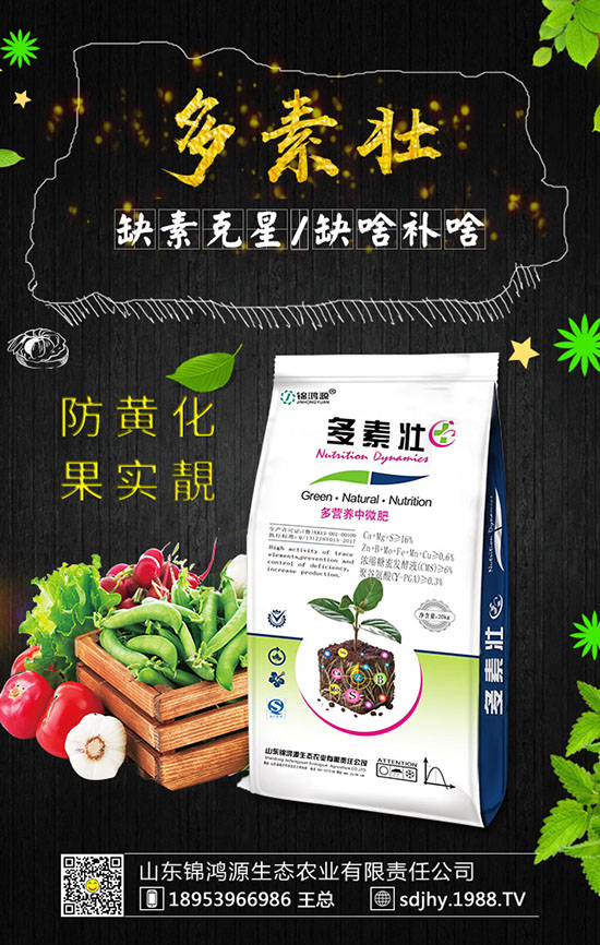 ���������緽������Щ������������Ҫ�c(di��n)�����ڹ�����